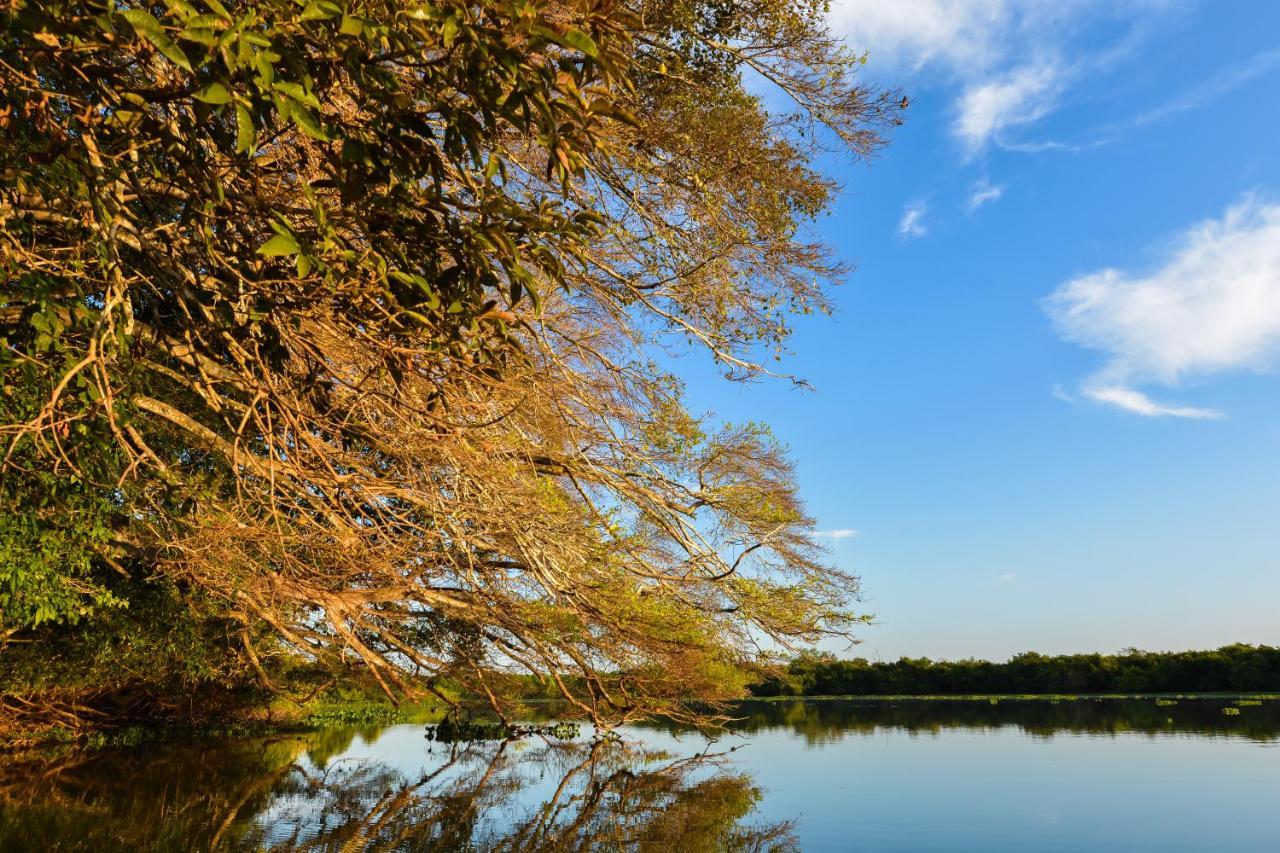 Pousada Rio Claro Poconé Eksteriør billede