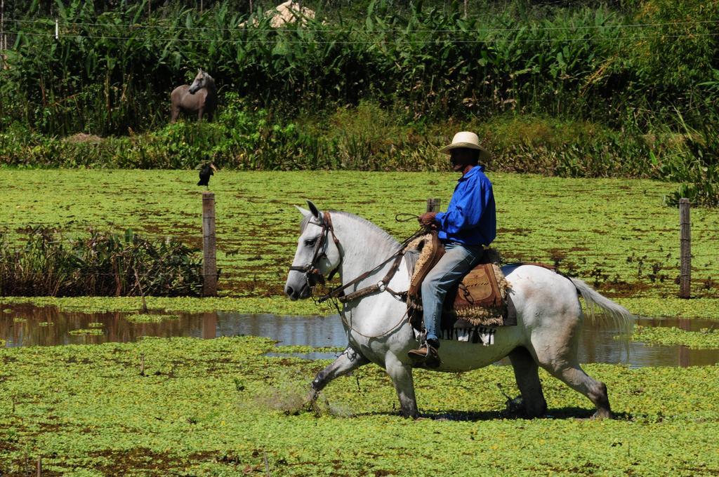 Pousada Rio Claro Poconé Eksteriør billede